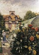 Gustave Caillebotte Big Chrysanthemum in the garden Sweden oil painting reproduction